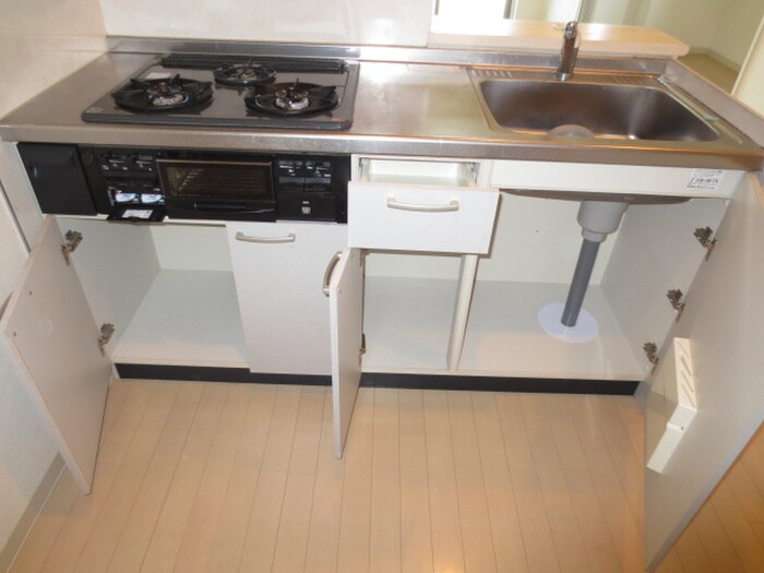 Ｒｏｂｕｓｔ　Ｃｏｕｒｔの物件内観写真