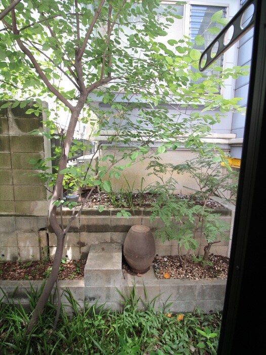 クライネ シュロスの物件内観写真