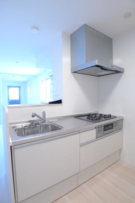 ラカーサフェリシダの物件内観写真