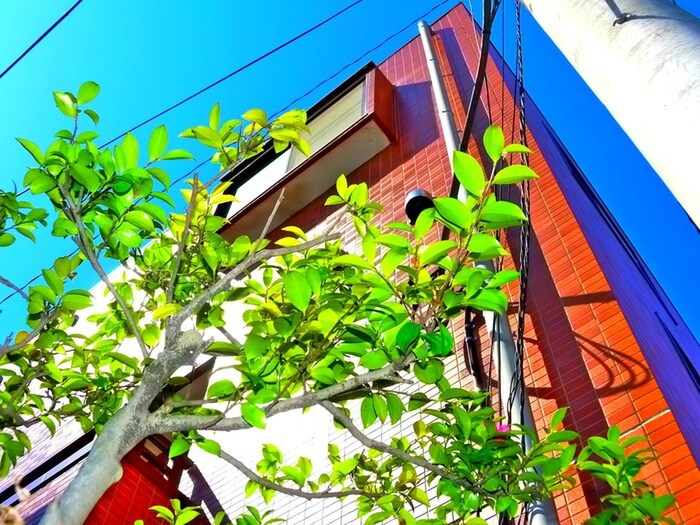 ＧＲＡＮＺ　Ａの物件内観写真