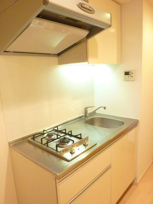 ﾌﾟﾗｳﾄﾞﾌﾗｯﾄ隅田ﾘﾊﾞ-ｻｲﾄﾞの物件内観写真