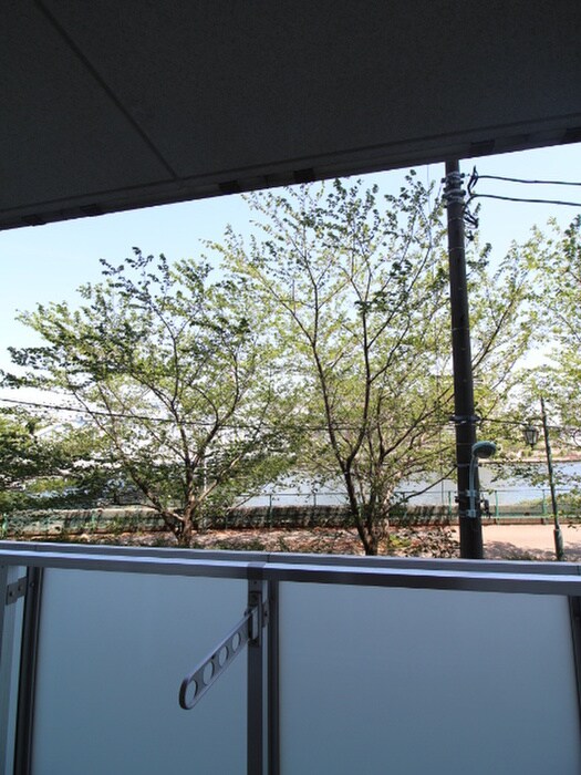 ﾌﾟﾗｳﾄﾞﾌﾗｯﾄ隅田ﾘﾊﾞ-ｻｲﾄﾞの物件内観写真