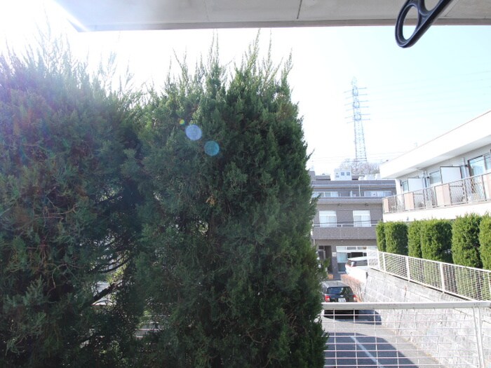 アドニス・イ－ストの物件内観写真