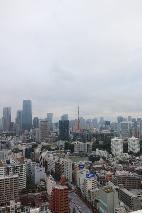 白金ザ・スカイEAST(3515)の物件内観写真