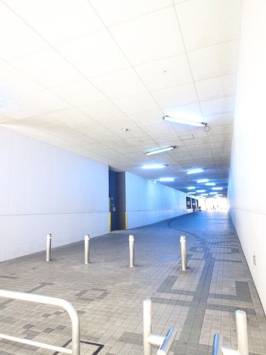 THE TOKYO TOWERS MID TOWER(19Fの物件外観写真