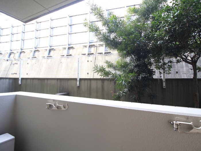 Ｔ´ｓ　ｇａｒｄｅｎ武蔵小杉の物件内観写真