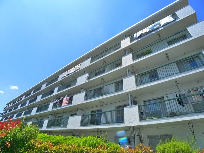 柏沼南台サンパワーA（209）の物件外観写真