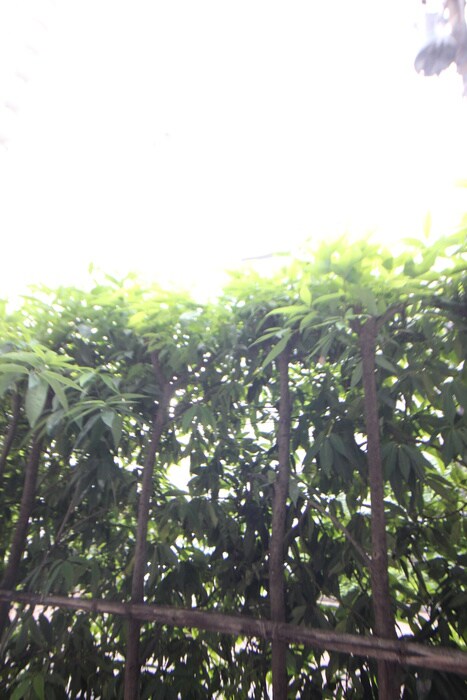 パ－クキュ－ブ四谷三丁目の物件内観写真