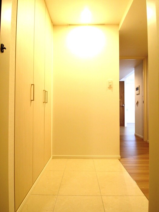 ﾊﾟｰｸｱｸｼｽ月島ﾏﾁｭｱｽﾀｲﾙ(5階)の物件内観写真