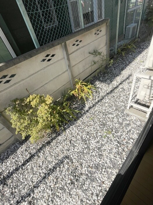 セレナパルテの物件内観写真