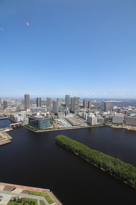 スカイズタワー＆ガーデン(908)の物件外観写真