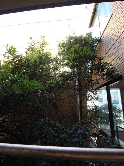 ドルチェの物件内観写真