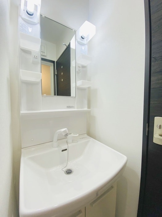 レピュア住吉レジデンスの物件内観写真