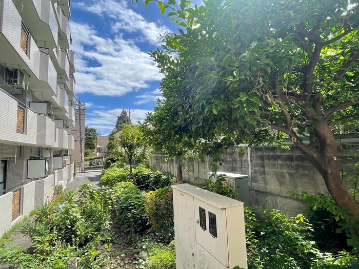 コ－ポ・エ－スの物件内観写真