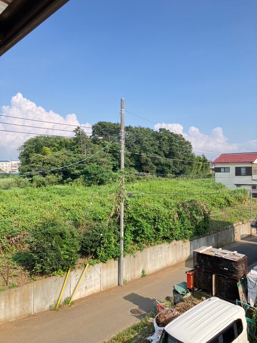 タウンコート藤原の物件内観写真