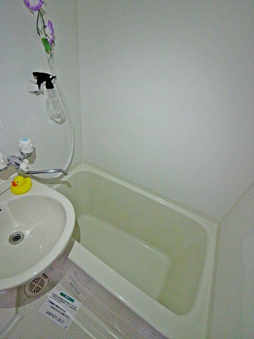 センターハウスの物件内観写真