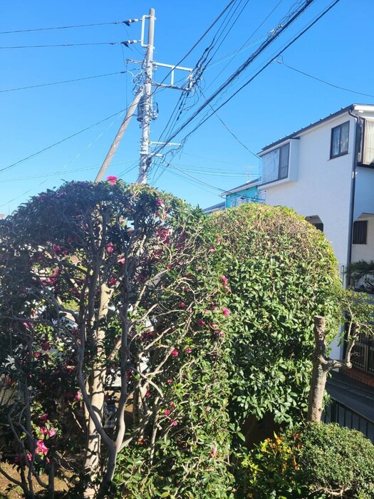 クレオパトラ西生田の物件内観写真