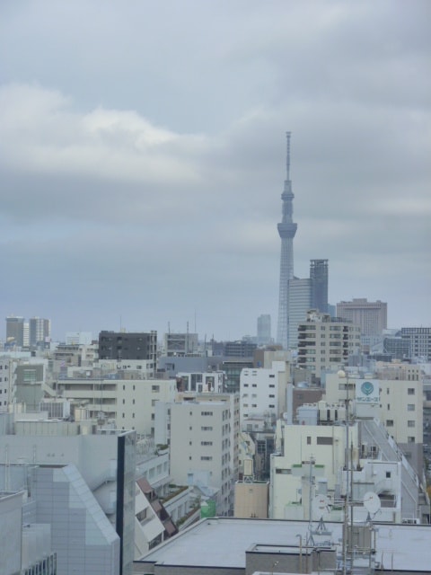 セレサ日本橋堀留町の物件内観写真