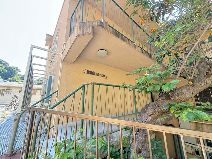 披露山アパ－トメントの物件外観写真