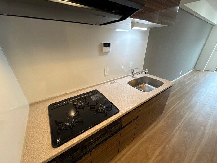 フロンティアレジデンス錦糸公園の物件内観写真