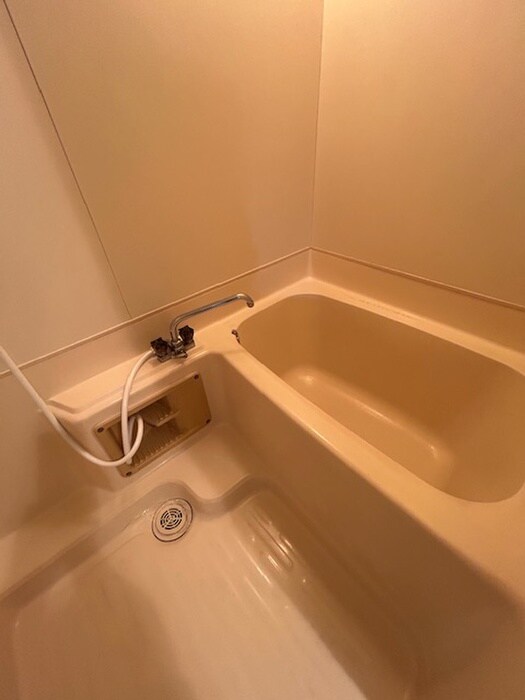 ホワイトパレス大宮の物件内観写真