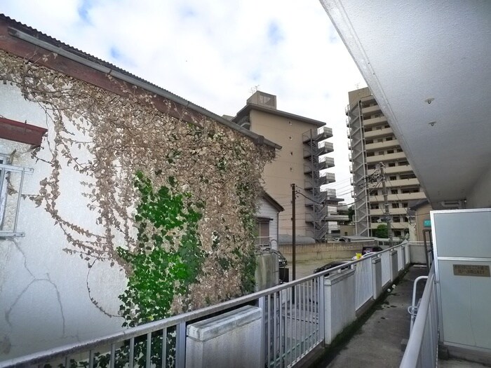 メゾン竹ヶ花の物件内観写真