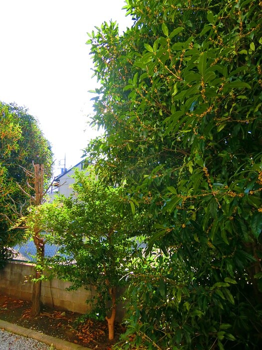 サンヴェールの物件内観写真