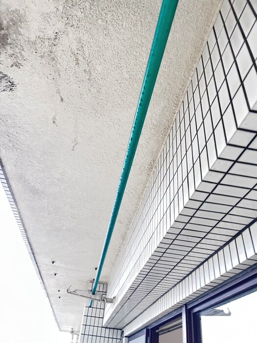 ボナクオリアⅩⅣ船橋海神の物件内観写真