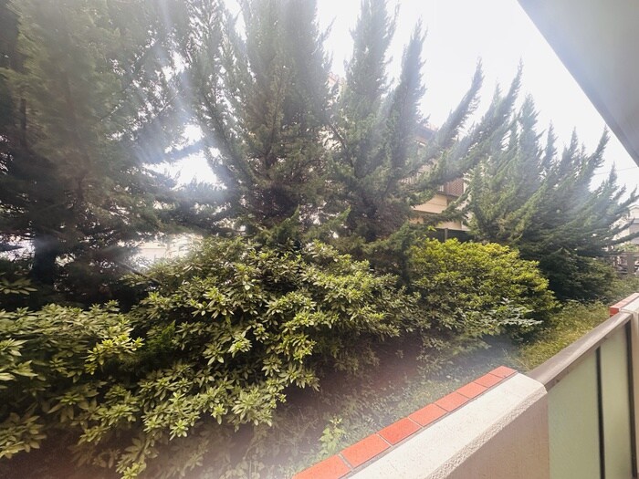 エル　パラドールの物件内観写真