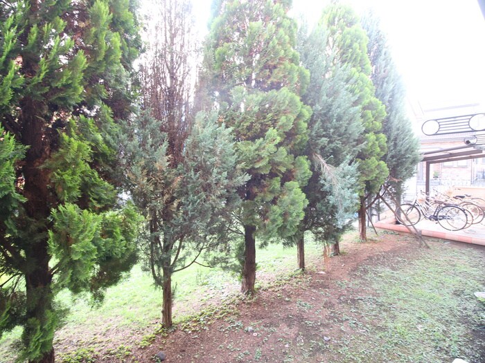 ラファエロの物件内観写真