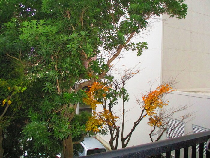 カムフォート登戸Ⅲの物件内観写真