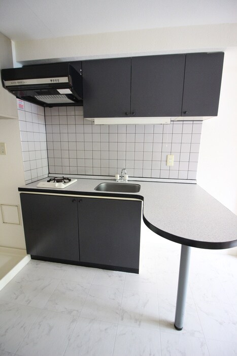 ピアレジアオヤマVの物件内観写真