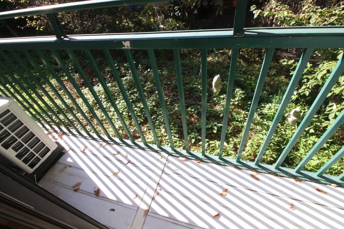 グリューネバルトの物件内観写真