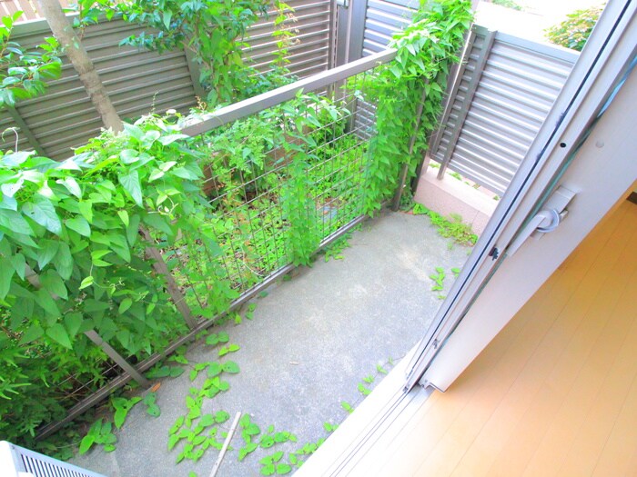 Aiマンションの物件内観写真