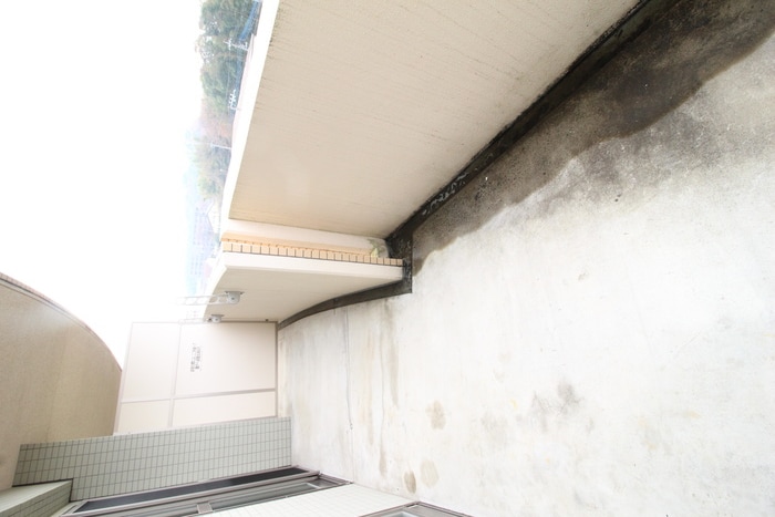 カ－サ・ヴェルデの物件内観写真