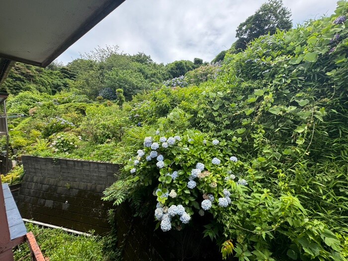 LILAの物件内観写真