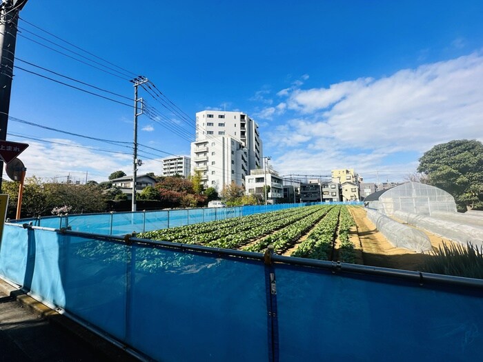 エーティハイムの物件外観写真