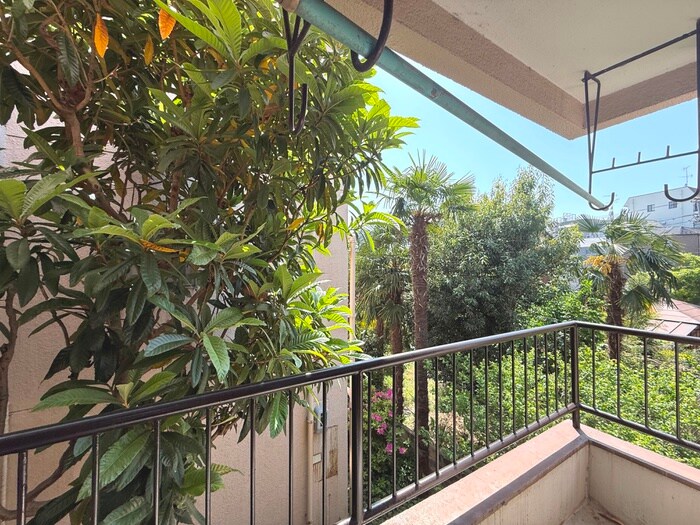 メゾンいずみの物件内観写真