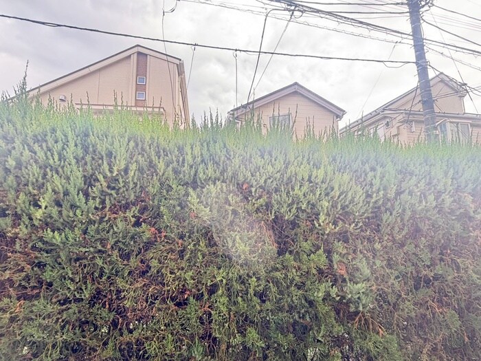 ﾗｳﾞ ｱﾘｴｰﾙの物件内観写真