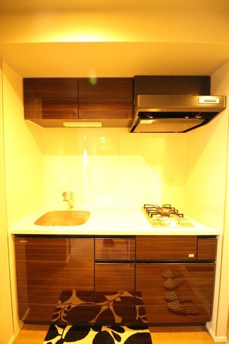 La　Douceur巣鴨Eastの物件内観写真