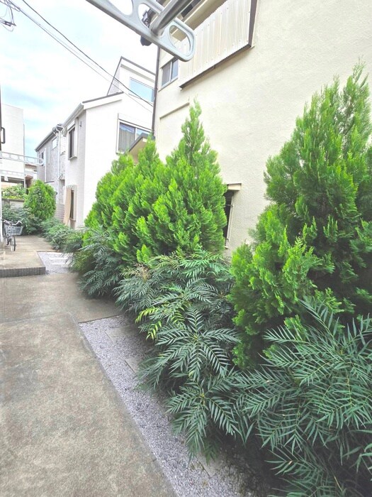 コンフォートテラス久我山の物件内観写真