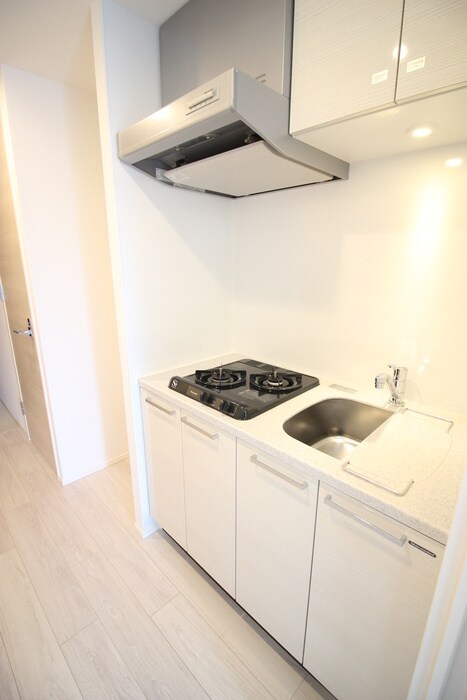 レビスタ白金高輪の物件内観写真