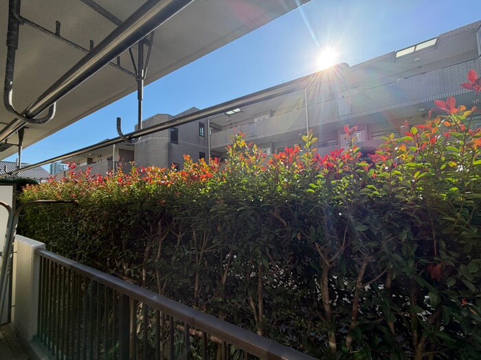 メゾン第三大泉(105)の物件内観写真