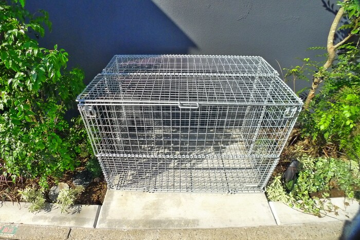 trias362の物件外観写真