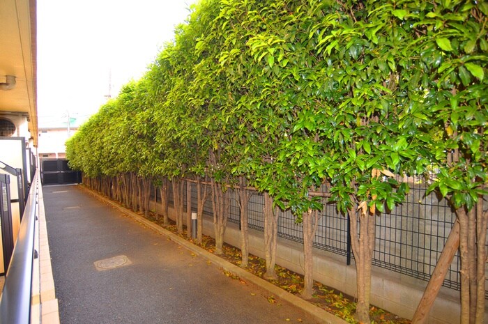 ハイデンス ヌクイの物件内観写真