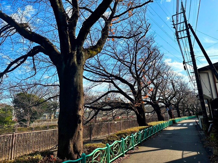 ロワール成瀬の物件外観写真