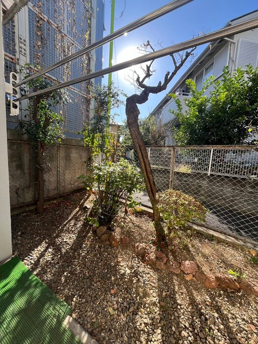 ソシアル上北沢の物件内観写真