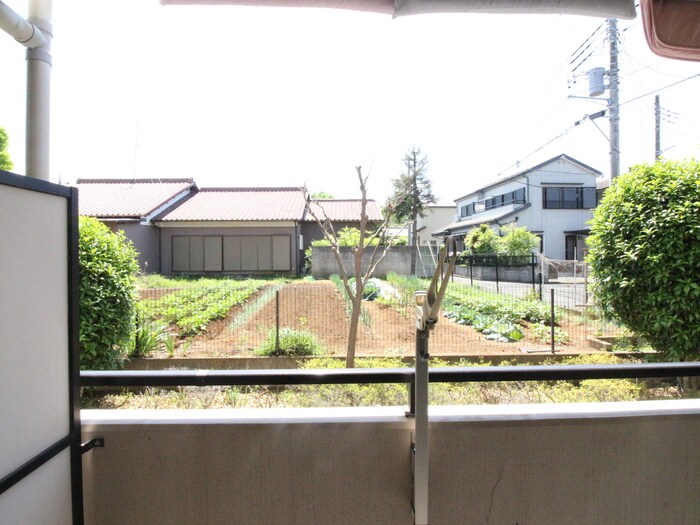 ﾀｶｰﾗ･ﾊｰｳﾞｪｽﾄ弐番館の物件内観写真