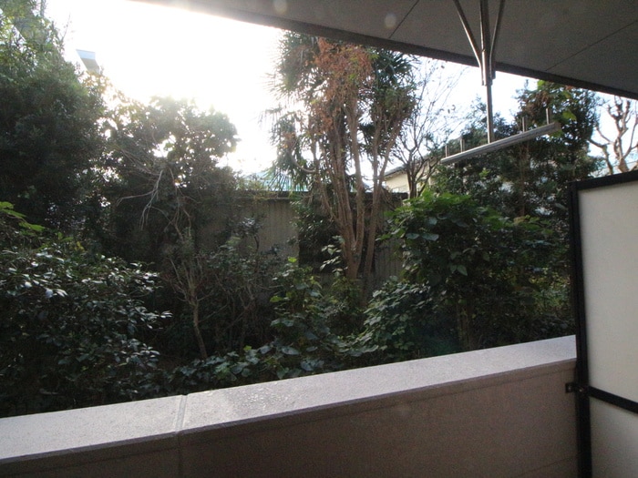 メゾン・トランタンヌーフの物件内観写真