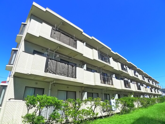 SUNNCITY HIKOTA  B-3の物件外観写真